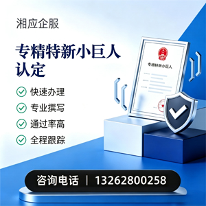 江门专精特新小巨人申报服务