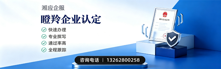 江门瞪羚企业认定申报服务