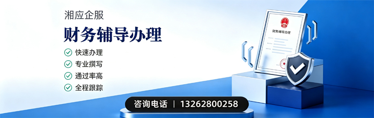 江门财务辅导申请服务