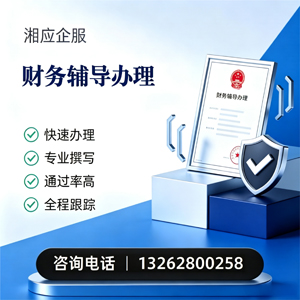 江门财务辅导申请服务