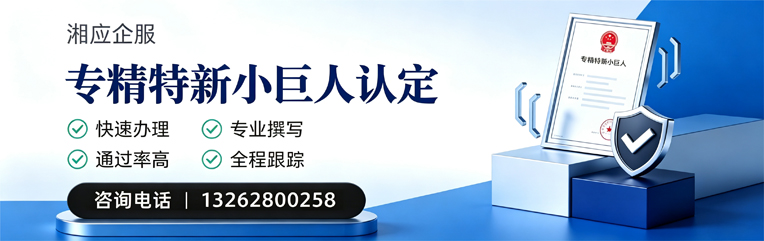 江门专精特新小巨人申报服务